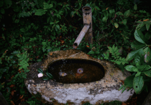 The Deception of the Arrogant: A Reflection on Different Types of Self-delusions